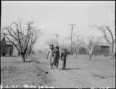 Manzanar Relocation Center, Manzanar, California. An afternoon stroll at this War Relocation Author . . . - NARA - 536876