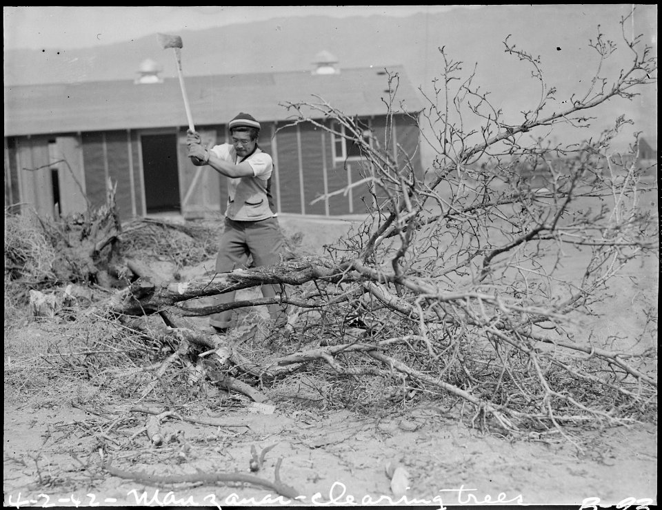 Manzanar Relocation Center, Manzanar, California. Clearing the ground at this War Relocation Author . . . - NARA - 536842