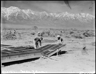 Manzanar Relocation Center, Manzanar, California. Construction begins at Manzanar, now a War Reloca . . . - NARA - 536886 photo
