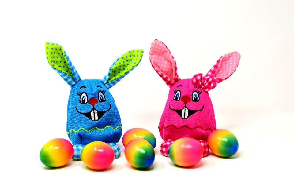 Color hare spring