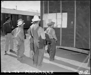 Manzanar Relocation Center, Manzanar, California. Bulletins in English and in Japanese keep evacuee . . . - NARA - 536758