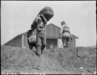 Manzanar Relocation Center, Manzanar, California. Evacuees of Japanese descent carry their personal . . . - NARA - 536856