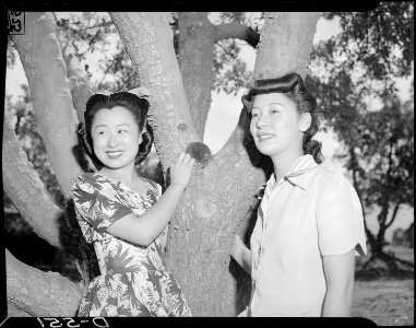 Manzanar Relocation Center, Manzanar, California. Florence Yamaguchi (left), and Kim Hirashima, bot . . . - NARA - 538519