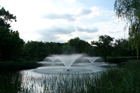 Arboretum play dip