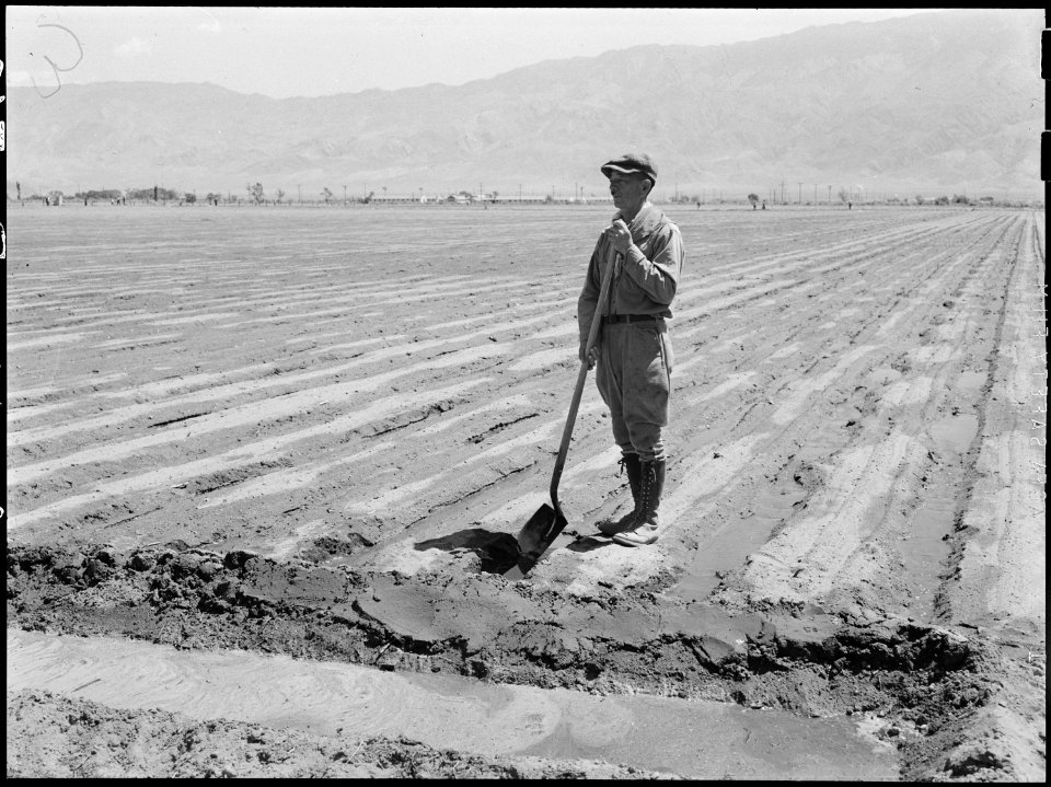 Manzanar Relocation Center, Manzanar, California. Henry Takada, farm project foreman, is shown (abo . . . - NARA - 538479