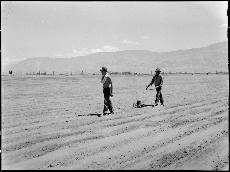 Manzanar Relocation Center, Manzanar, California. Hank Oba, 19 (left), and Ken Oba, 20, brothers fr . . . - NARA - 538478