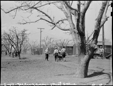 Manzanar Relocation Center, Manzanar, California. Newcomers move into Manzanar, a War Relocation Au . . . - NARA - 536840