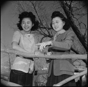 Manzanar Relocation Center, Manzanar, California. Takeshi Shindo, Reporter for the Manzanar Free . . . - NARA - 536941