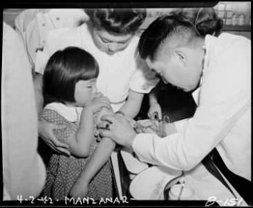 Manzanar Relocation Center, Manzanar, California. This little evacuee is being vaccinated by an eva . . . - NARA - 536898