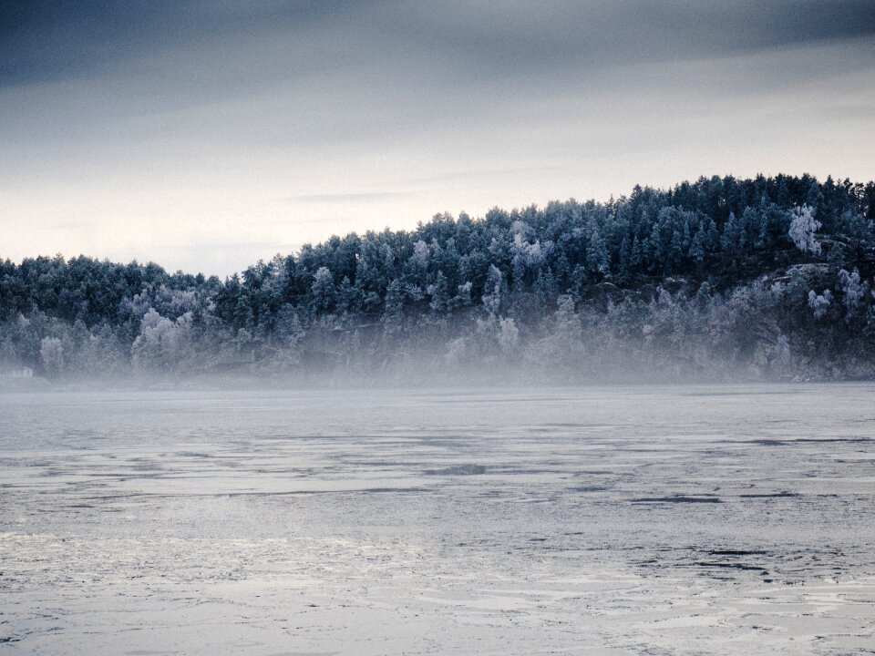 Woods forest cold