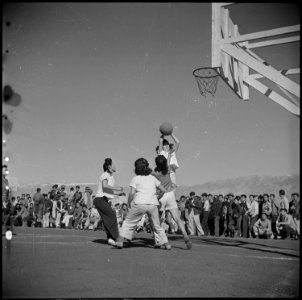 Manzanar Relocation Center, Manzanar, California. Basketball games are part of the regular schedule . . . - NARA - 536937