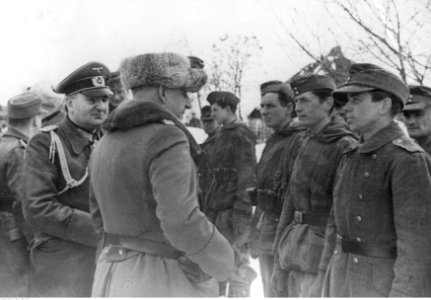 Marszałek Erich von Manstein w rozmowie z żołnierzami walczącymi pod Czerkasami (2-690)