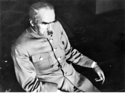 Marszałek Józef Piłsudski w Moszczenicy (22-336-3)