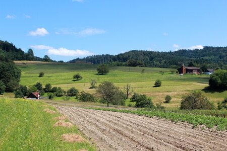 Field nature farm agricultural landscape