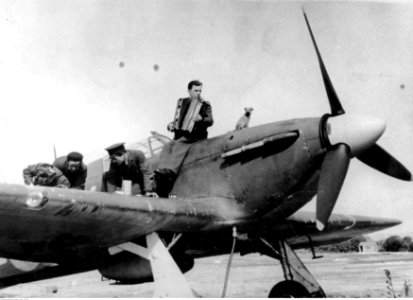 Mechanicy lotnictwa polskiego przygotowują do lotu samolot myśliwski Hawker Hurricane (21-70-1)