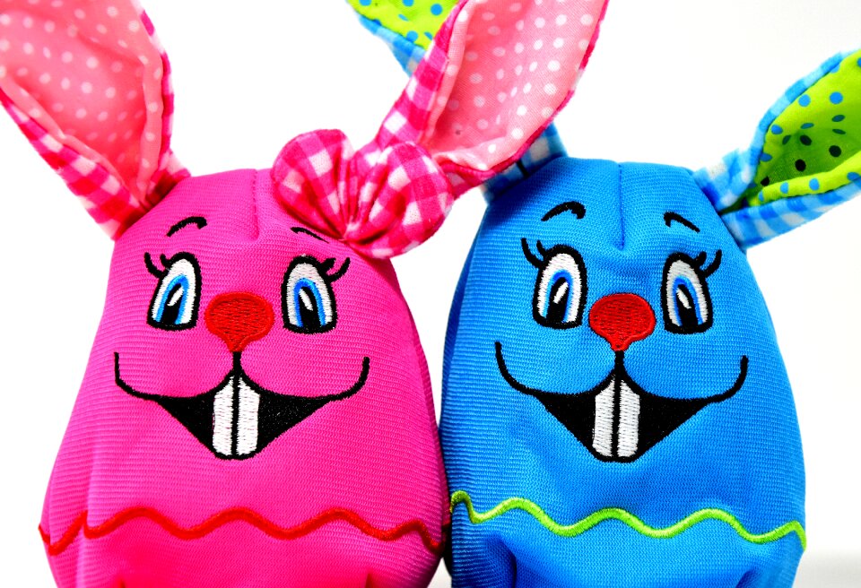 Color hare spring