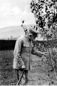 Marszałek Józef Piłsudski w Moszczenicy (22-336-9)