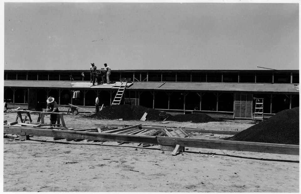Minidoka Relocation Center, Hunt, Idaho. Adult education class in carpentry, building chicken houses. - NARA - 539485
