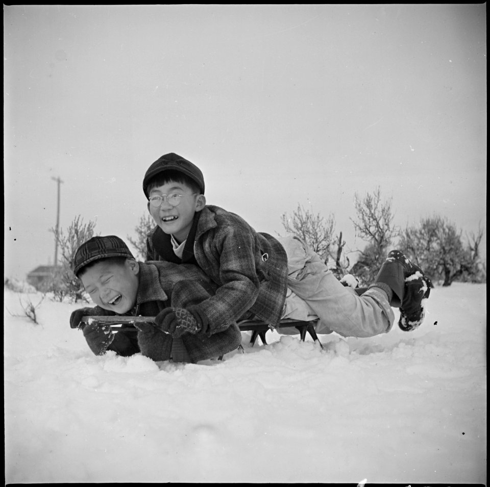 Minidoka Relocation Center, Minidoka, Washington. These two boys are rapidly developing a love for . . . - NARA - 536535