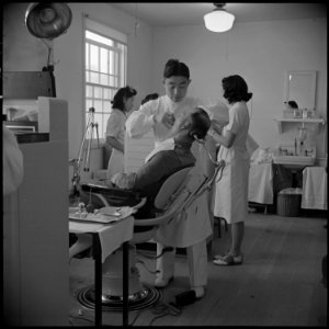 Minidoka Relocation Center. Dentist, Doctor T. Nakamura. Hospital Series. Dental Laboratory. - NARA - 536551