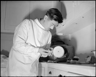 Minidoka Relocation Center. Doctor T. Uchida. Chief Dentist. Polishing false-teeth on buffer - NARA - 536569