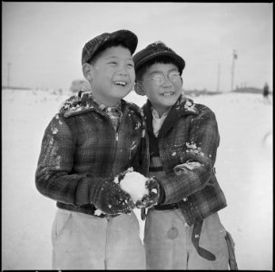 Minidoka Relocation Center, Minidoka, Washington. These two boys are rapidly developing a love for . . . - NARA - 536536