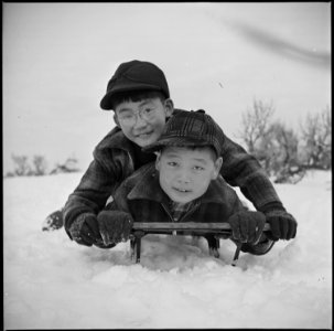Minidoka Relocation Center, Minidoka, Washington. These two boys are rapidly developing a love for . . . - NARA - 536534