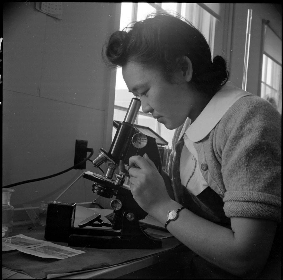 Minidoka Relocation Center. Miss May Kumasaka. Laboratory technician. Hospital Series. Laboratory. - NARA - 536550