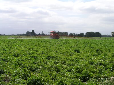 Rig farm insecticide photo