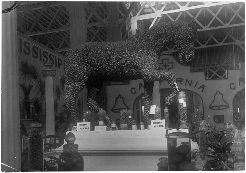 Mississippi's Pecan Horse, at the St. Louis Exposition. - NARA - 516536