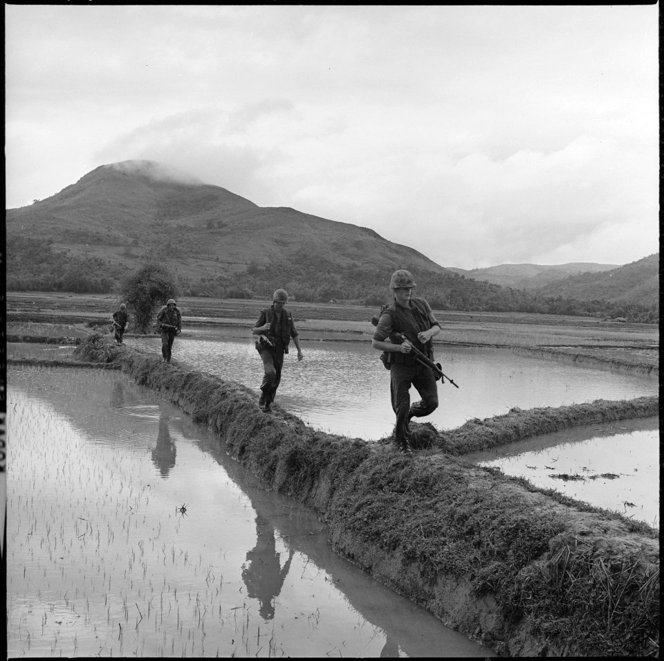 Men of H Company, 2nd Battalion, 7th Marines, move along rice paddy dikes in pursuit of the Viet Cong. - NARA - 532437