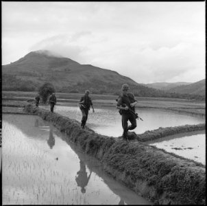 Men of H Company, 2nd Battalion, 7th Marines, move along rice paddy dikes in pursuit of the Viet Cong. - NARA - 532437