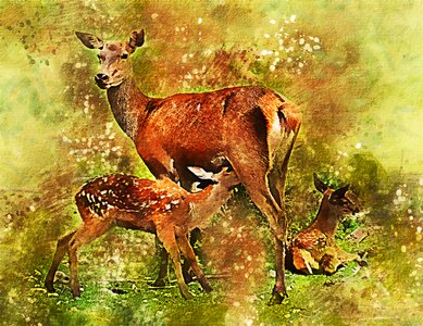 Living nature animals cute