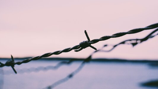 Security sharp fence