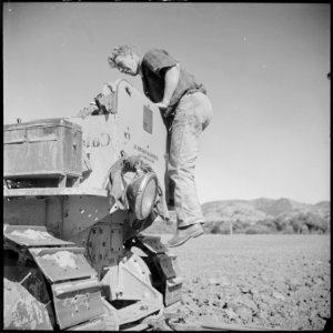 Monterey County, California. Rural youth. Mechanization, the agricultural employee. Caterpillar treads are dangerous... - NARA - 532171