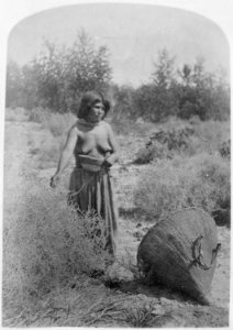 Moapariat Paiute woman gathering seeds, southern Nevada, 1873 - NARA - 517731