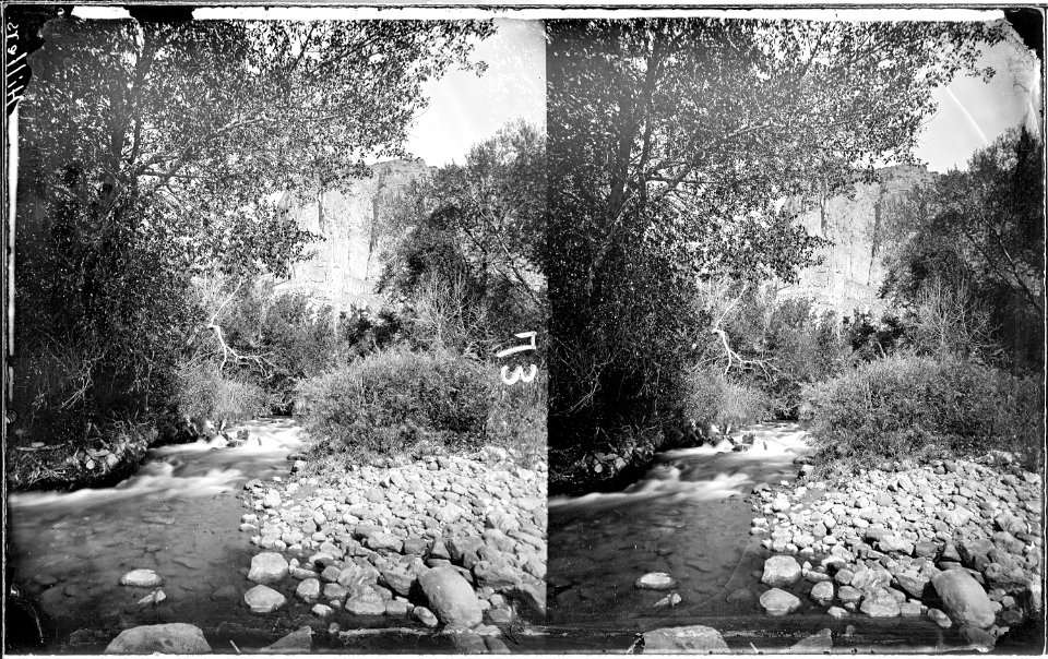 Mouth of Ashley Creek. Very beautiful spot. Old no. 73, 172, 349, 712, 356. - NARA - 517927