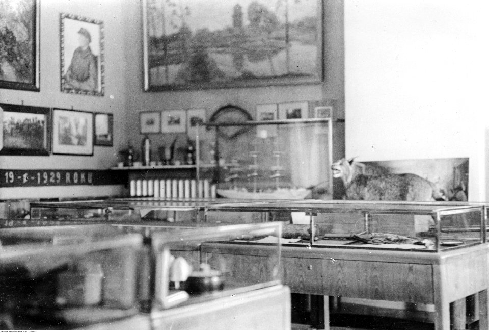 Muzeum marszałka Józefa Piłsudskiego w Belwederze (22-387-23)