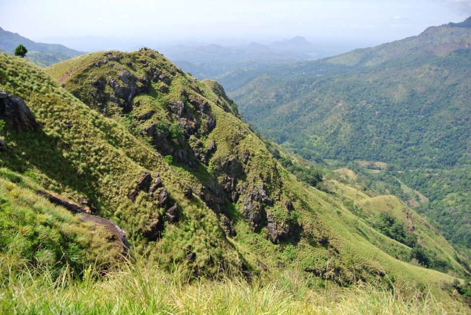 Sri lanka landscape nature