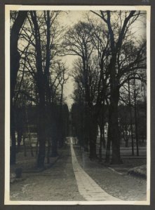 Naleczow, park. 1937 (76580571) photo
