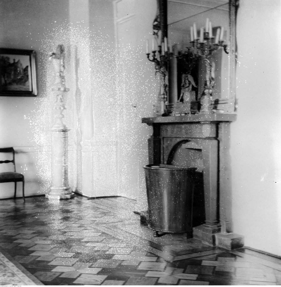 Muzeum marszałka Józefa Piłsudskiego w Belwederze (22-387-20)