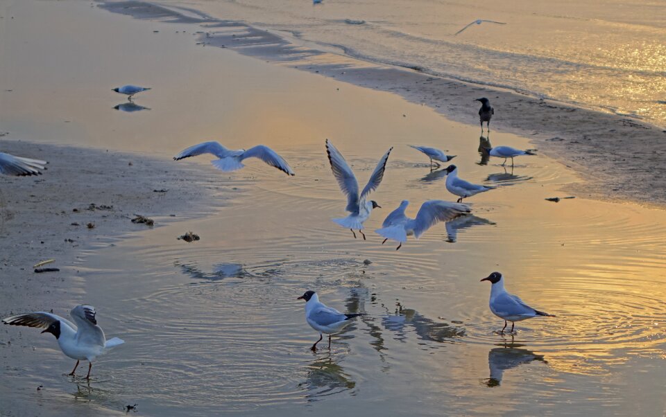 Water nature beach
