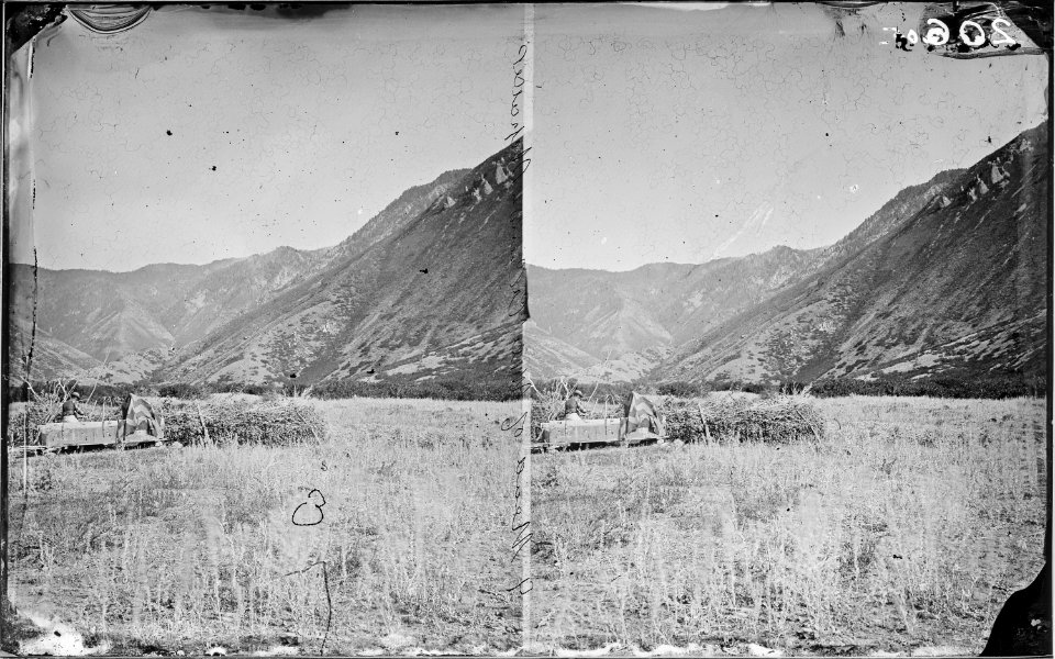 MOUNT NEBO FOOTHILLS, FROM THE WEST SHEPHARDS-MEADOW OF WILLOW CREEK CANYON, UTAH - NARA - 523971