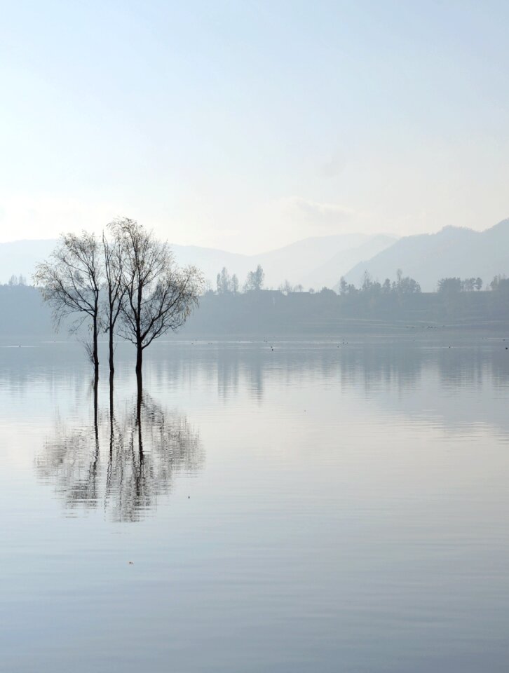 Reflection the water the morning mist