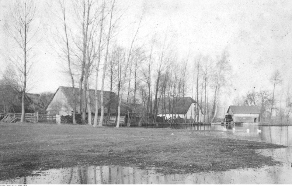 Narcyz Witczak-Witaczyński - Album z 1916 roku - Łódź i okolice (107-1128-5)