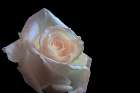 Romance give black background