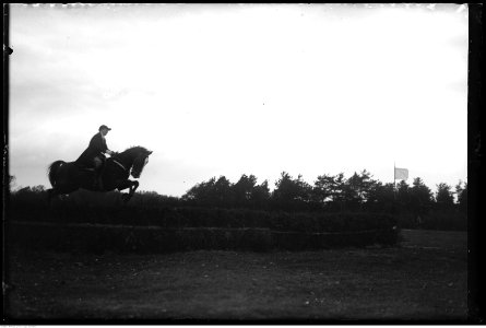 Narcyz Witczak-Witaczyński - Bieg oficerski św. Huberta (107-481-4)