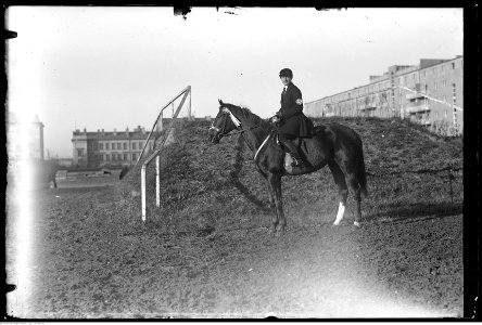 Narcyz Witczak-Witaczyński - Bieg św. Huberta (107-391-10)