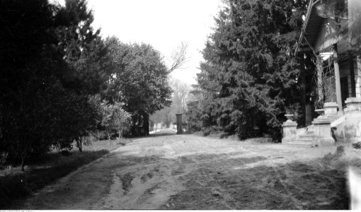 Narcyz Witczak-Witaczyński - Budynek otoczony parkiem (107-1012-1)