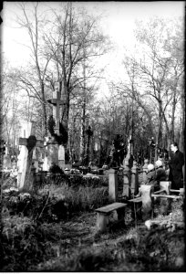 Narcyz Witczak-Witaczyński - Cmentarz Bródnowski (107-600-1)